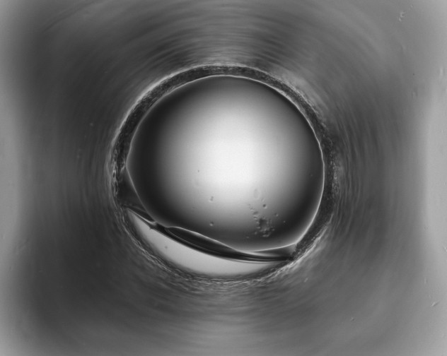 X0000094060926200710191058
