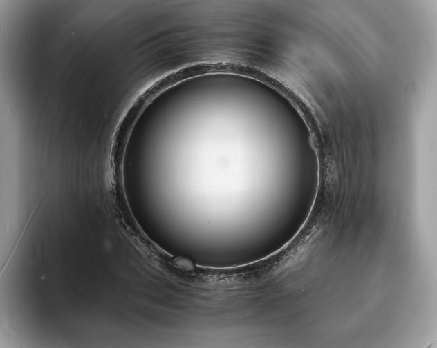 X0000094060927200710191058
