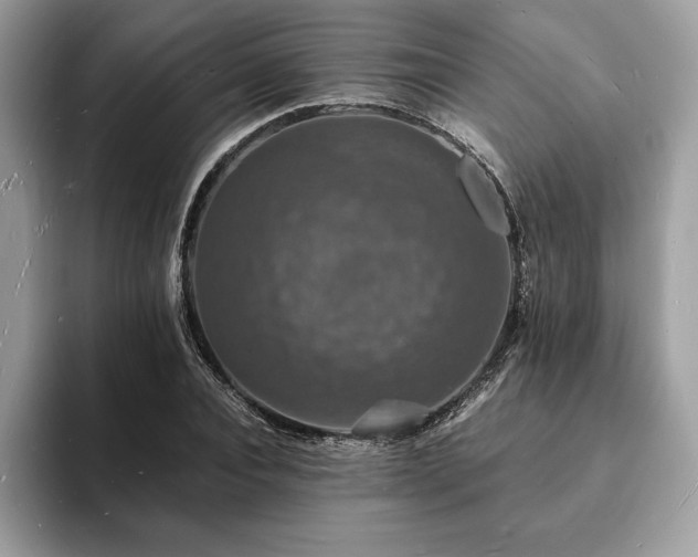 X0000094060928200710191058