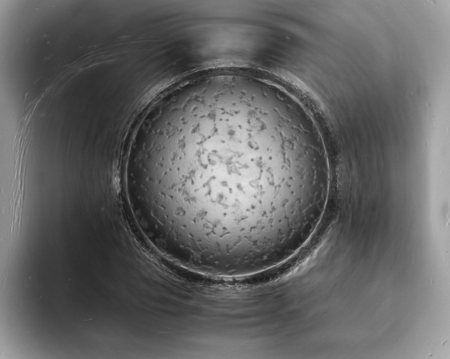 X0000094060929200710191058