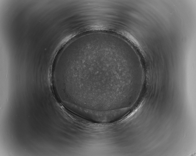 X0000094060930200710191058