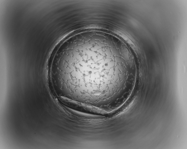 X0000094060933200710191058