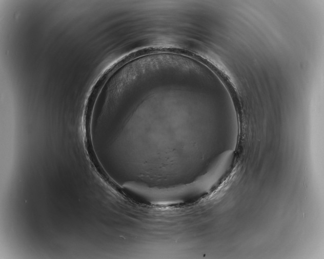 X0000094060935200710191058