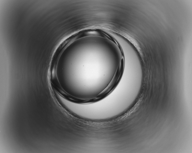 X0000094060936200710191058