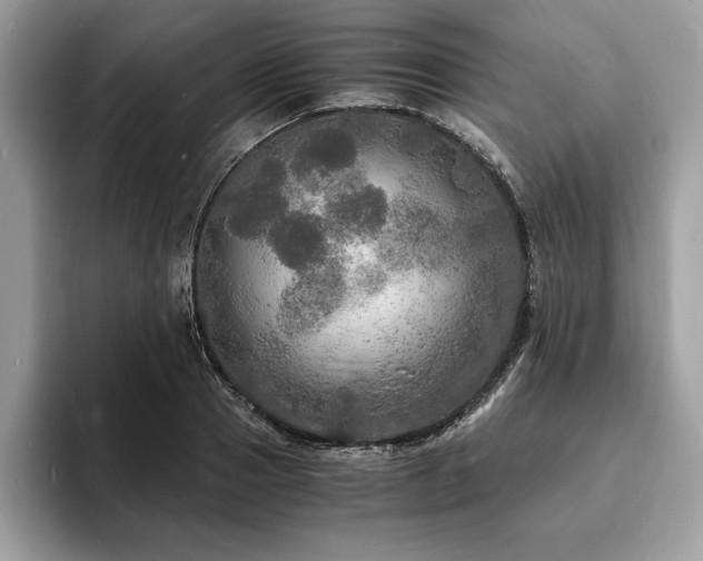 X0000094060937200710191059