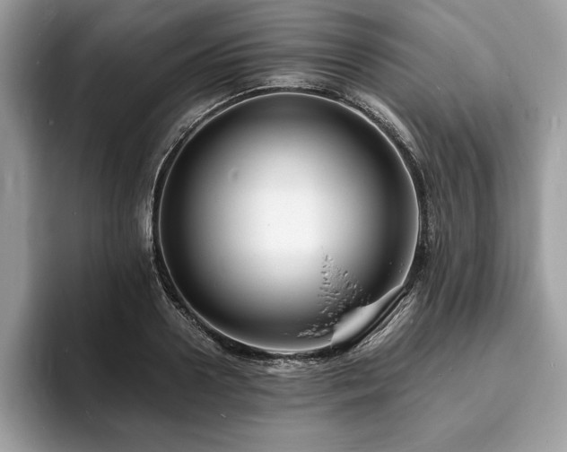 X0000094060938200710191059
