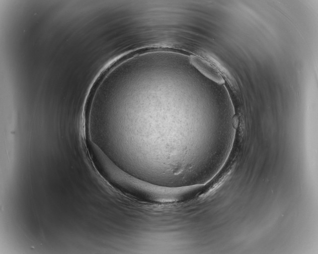 X0000094060940200710191059