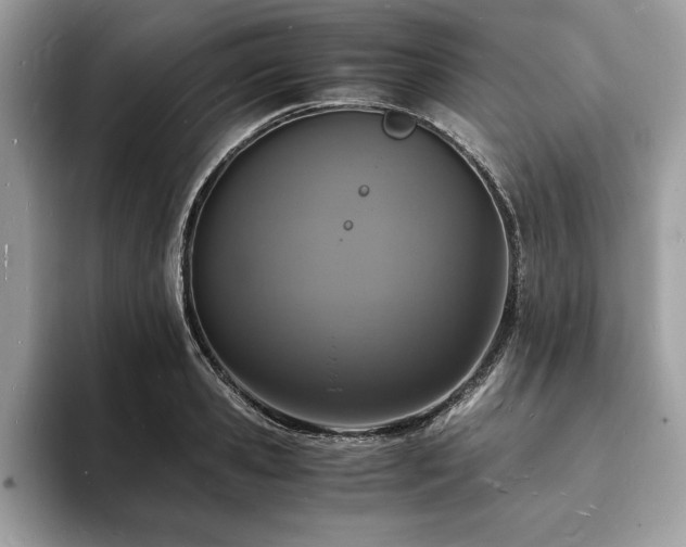 X0000094060941200710191059
