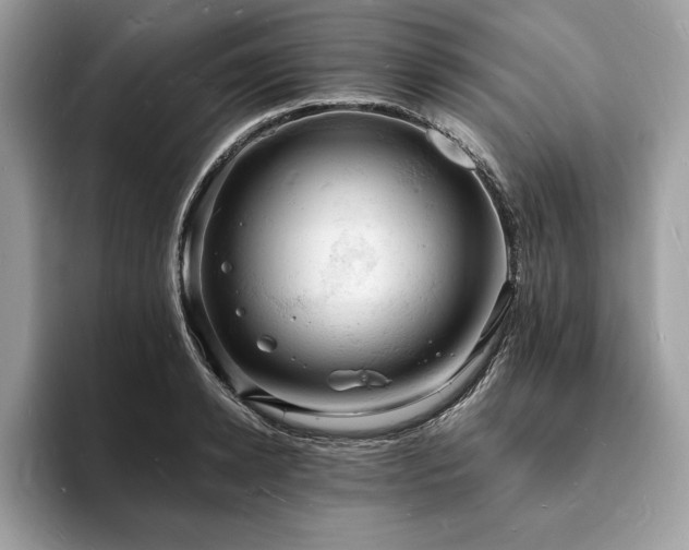 X0000094060942200710191059