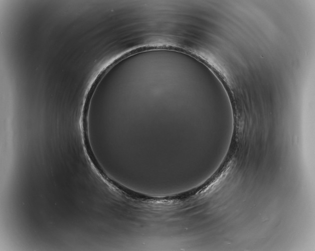 X0000094060943200710191059