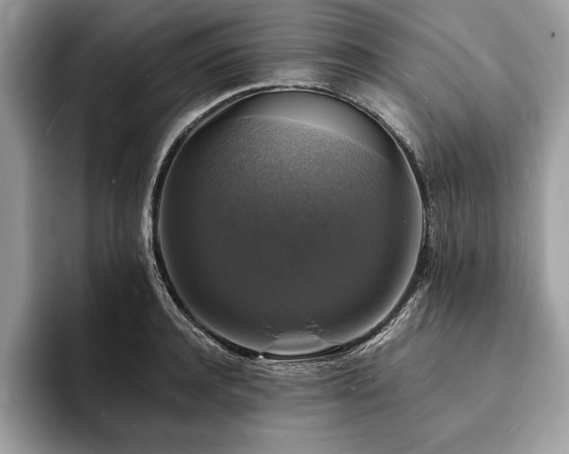 X0000094060944200710191059