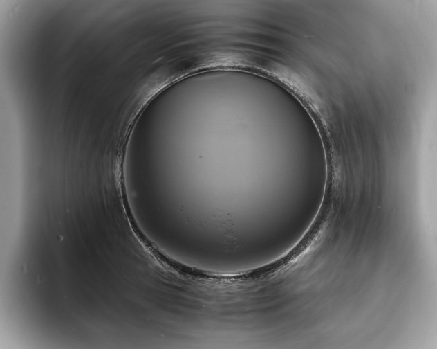 X0000094060945200710191059