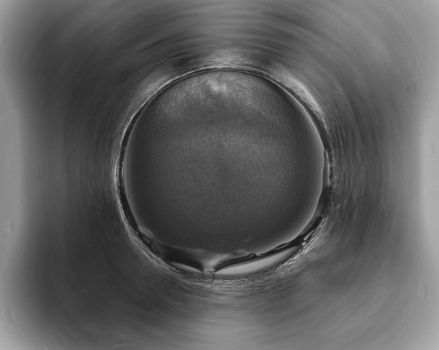 X0000094060946200710191059