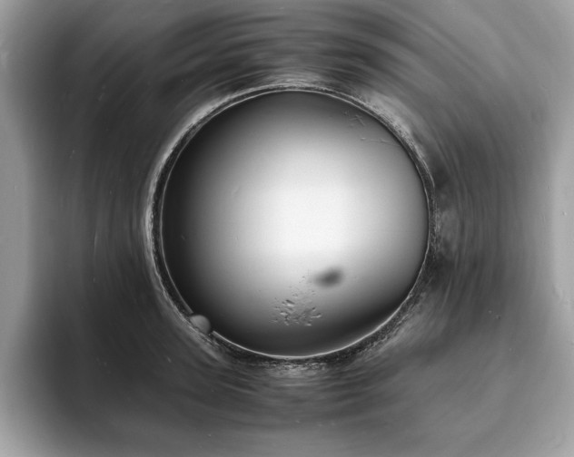 X0000094060947200710191059
