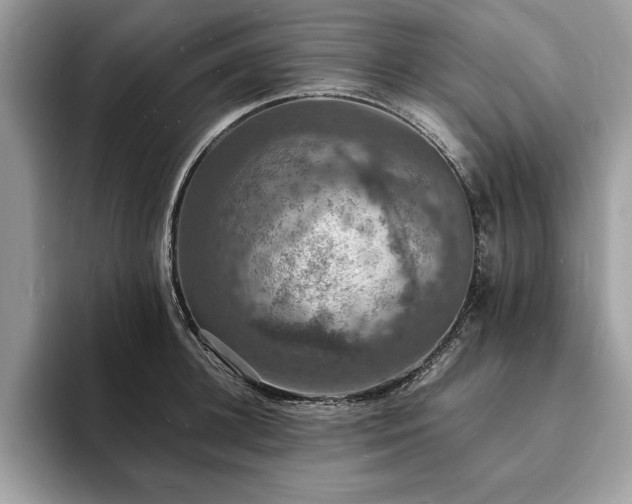 X0000094060948200710191059