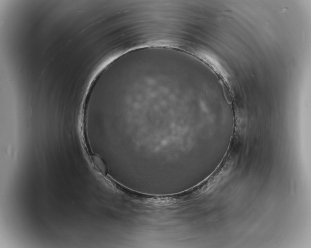 X0000094060952200710191059