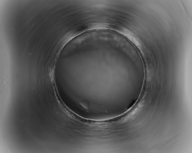 X0000094060953200710191059