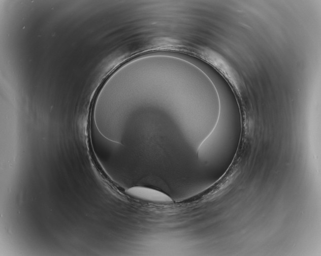 X0000094060954200710191059