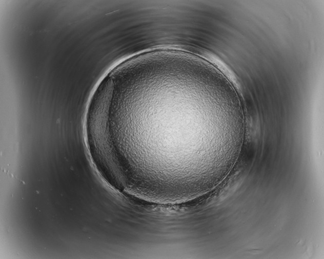 X0000094060955200710191059