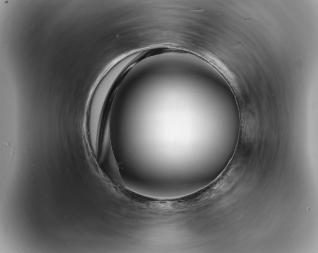 X0000094060956200710191059