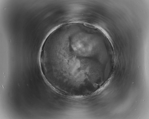 X0000094060957200710191059
