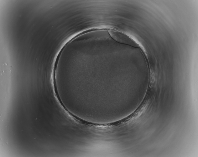 X0000094060959200710191059