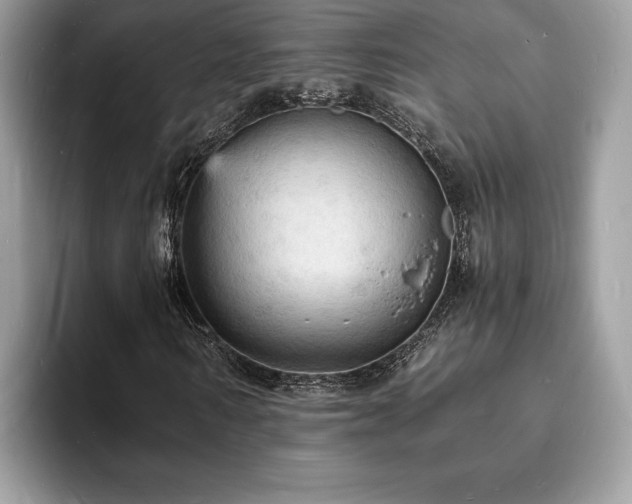 X0000094060962200710191058