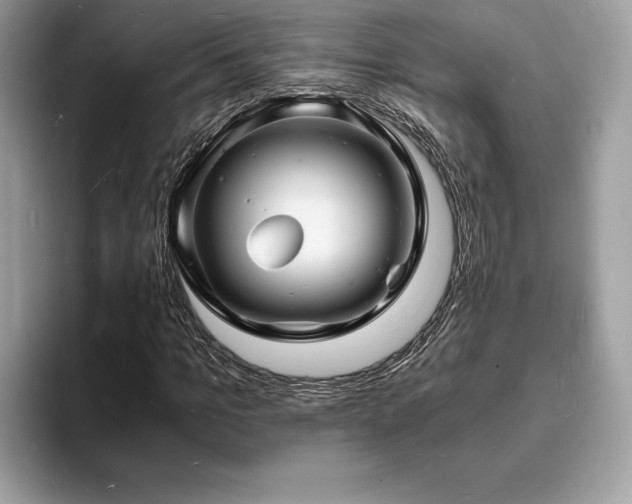 X0000094060965200710191058