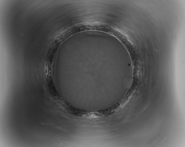 X0000094060966200710191058