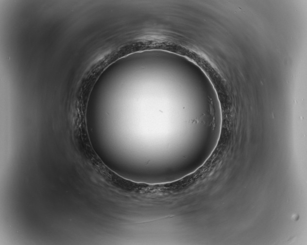X0000094060967200710191058