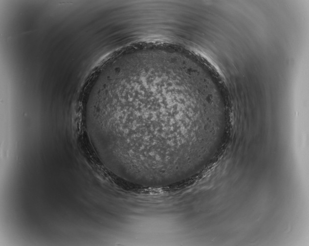 X0000094060968200710191058