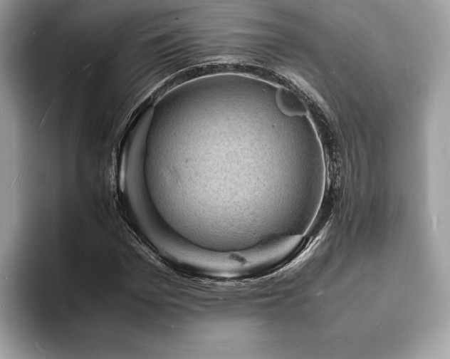 X0000094060969200710191058