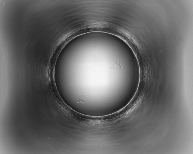 X0000094060970200710191058