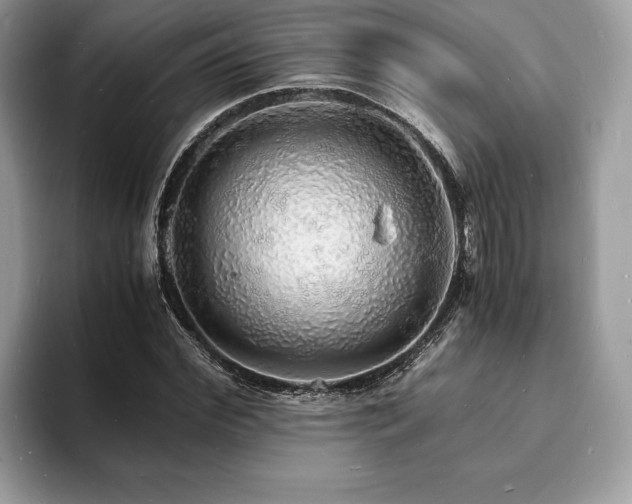 X0000094060972200710191058