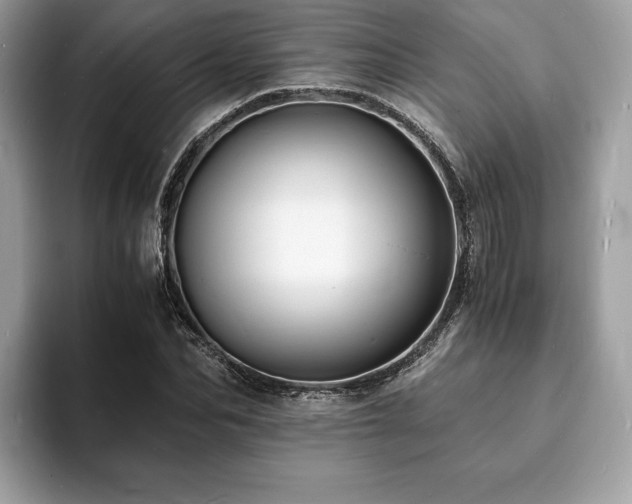 X0000094060974200710191058
