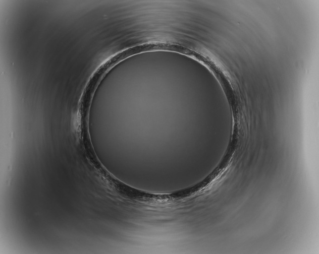 X0000094060975200710191058