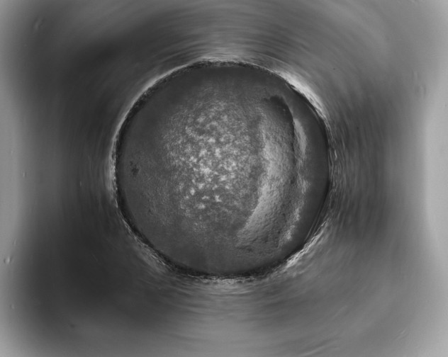 X0000094060976200710191058