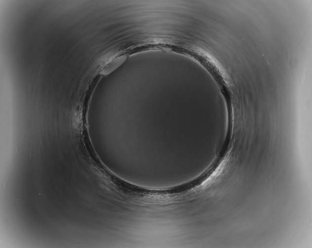 X0000094060977200710191058