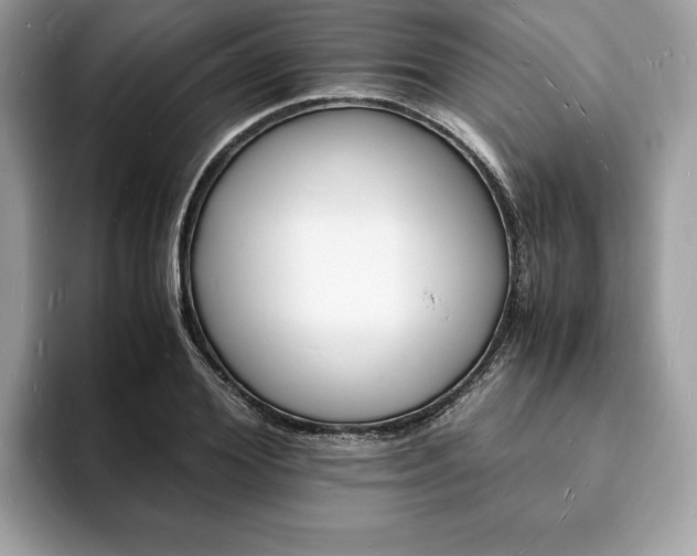X0000094060980200710191058