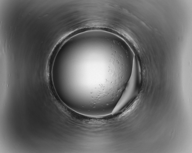X0000094060981200710191058