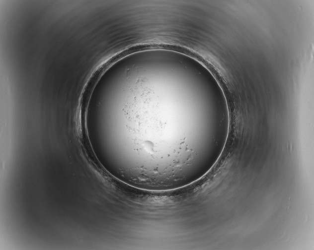 X0000094060982200710191058