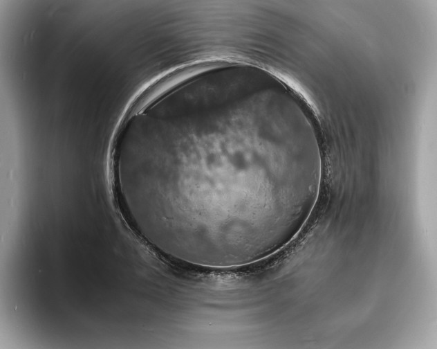 X0000094060983200710191058
