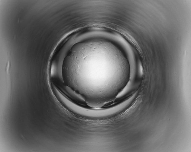 X0000094060984200710191058