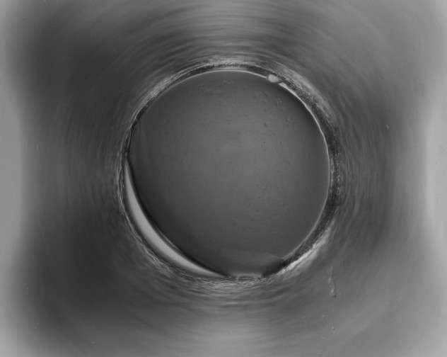 X0000094060985200710191058