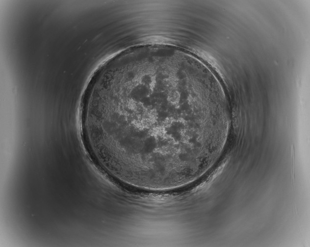 X0000094060987200710191058