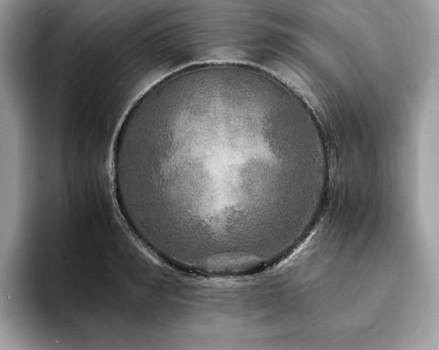 X0000094060990200710191058