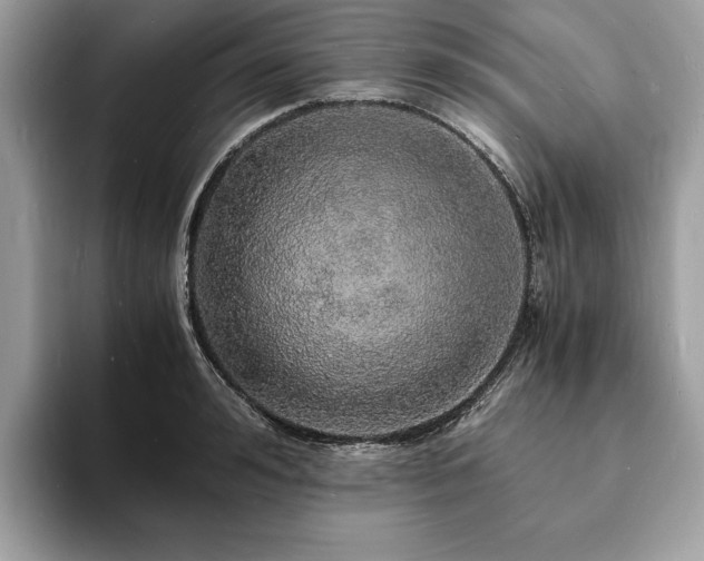 X0000094060992200710191058