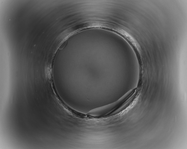 X0000094060993200710191058