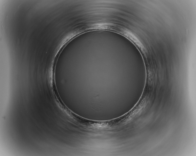 X0000094060994200710191058