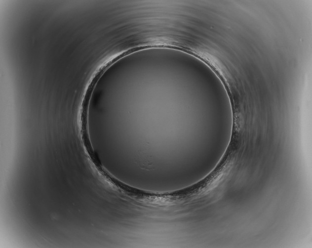 X0000094060995200710191058